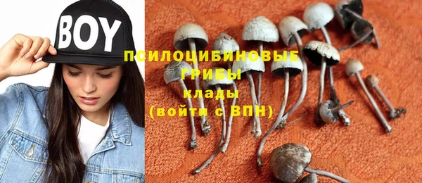 2c-b Липки