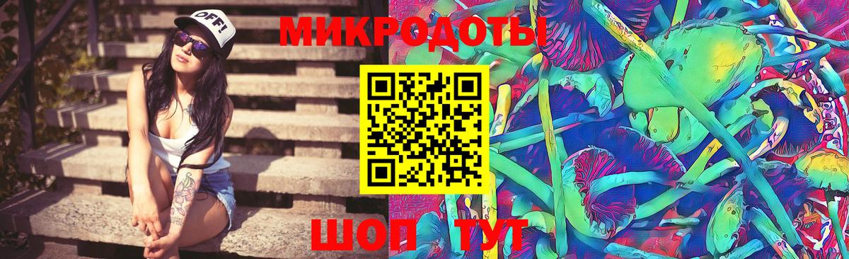 Ревда  продажа наркотиков  Вход с VPN  Псилоцибиновые грибы мухоморы 
